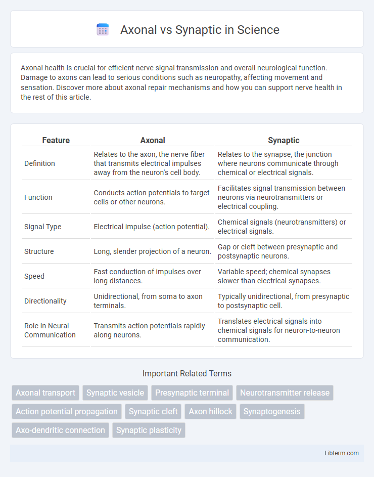 Synaptic vs Axonal in Science - What is The Difference?