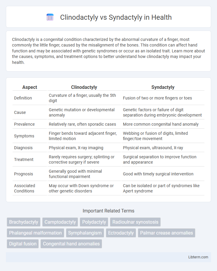 Syndactyly vs Clinodactyly in Health - What is The Difference?