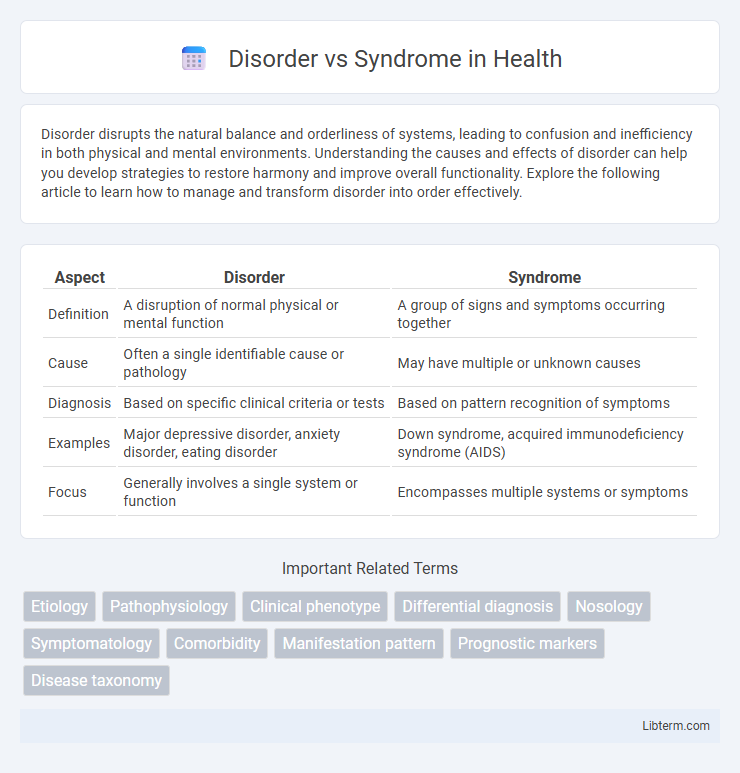 Syndrome vs Disorder in Health - What is The Difference?