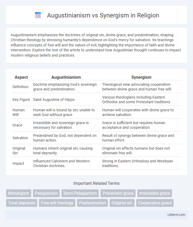 Synergism vs Augustinianism in Religion - What is The Difference?