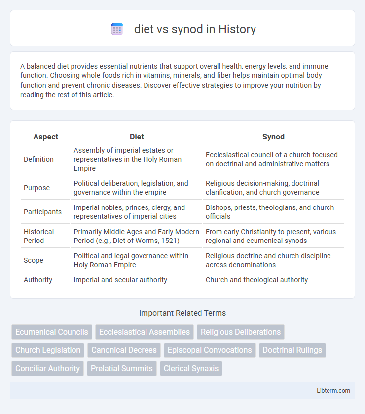 synod vs diet in History - What is The Difference?