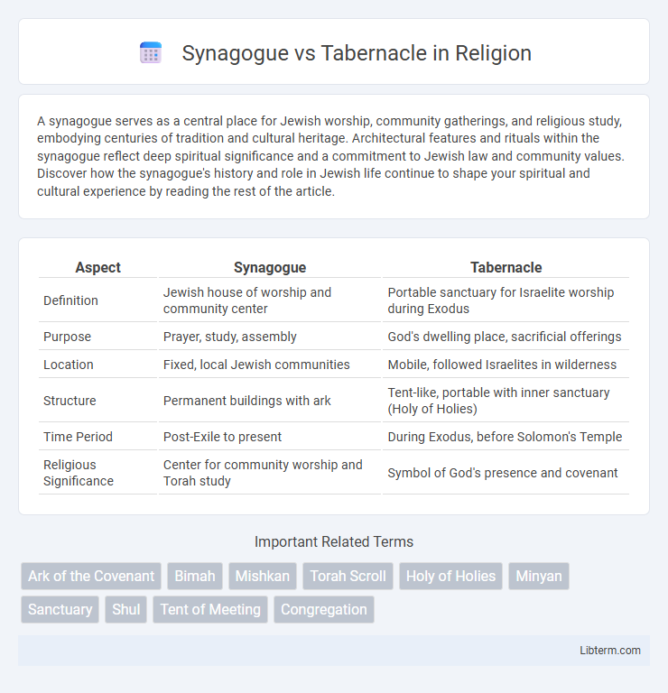 Tabernacle vs Synagogue in Religion - What is The Difference?