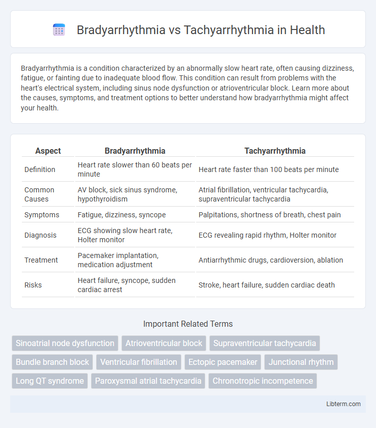 Tachyarrhythmia vs Bradyarrhythmia in Health - What is The Difference?