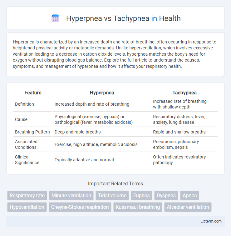 Tachypnea vs Hyperpnea in Health - What is The Difference?