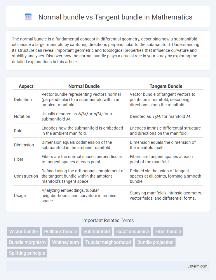 Tangent bundle vs Normal bundle in Mathematics - What is The Difference?