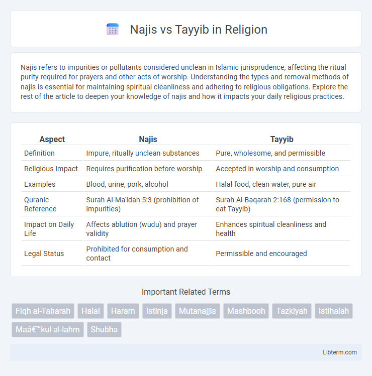 Tayyib vs Najis in Religion - What is The Difference?