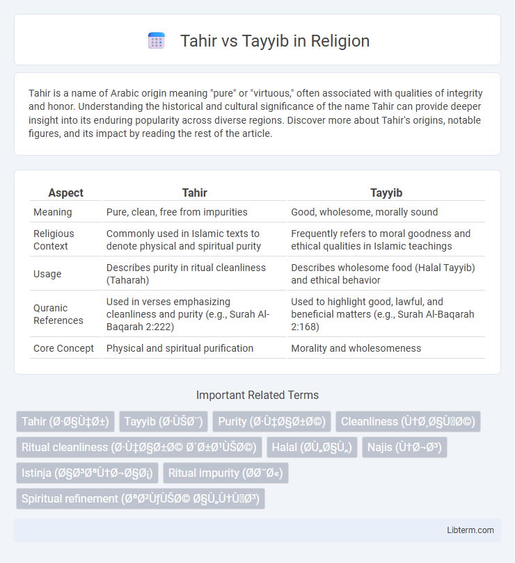 Tayyib vs Tahir in Religion - What is The Difference?