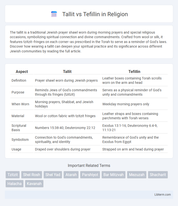 Tefillin vs Tallit in Religion - What is The Difference?