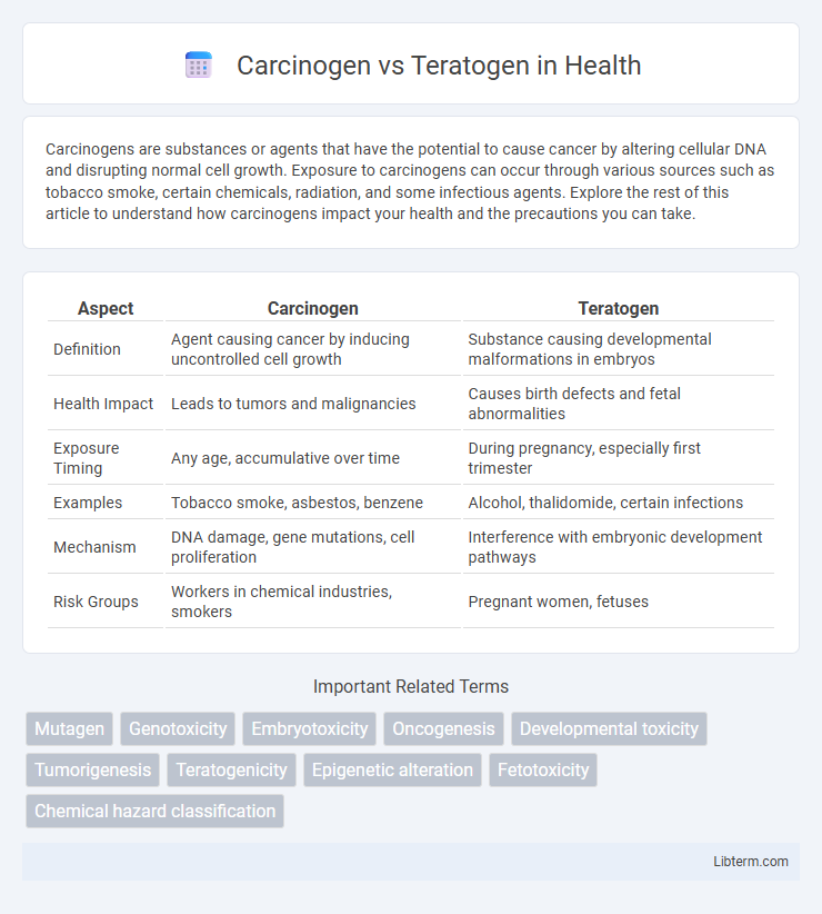Teratogen vs Carcinogen in Health - What is The Difference?