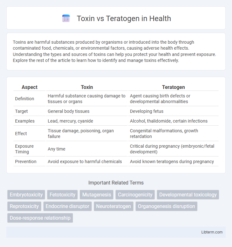 Teratogen vs Toxin in Health - What is The Difference?