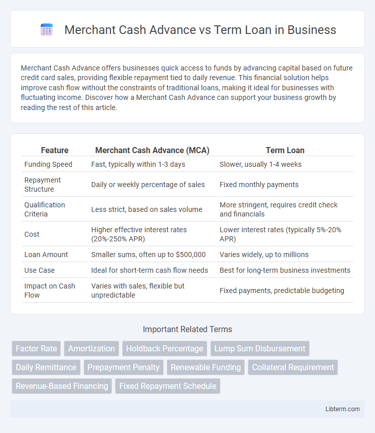Term Loan vs Merchant Cash Advance in Business - What is The Difference?