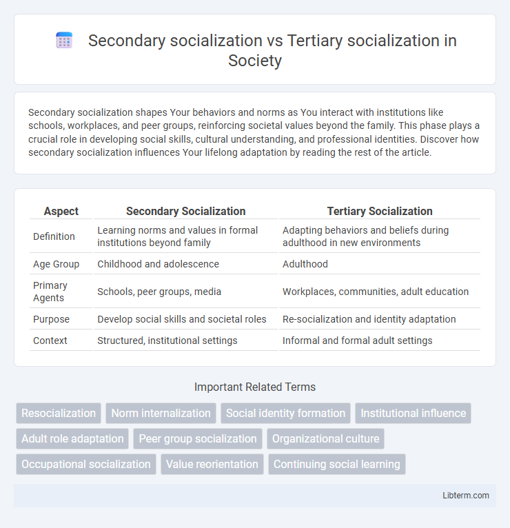 Tertiary socialization vs Secondary socialization in Society - What is The Difference?