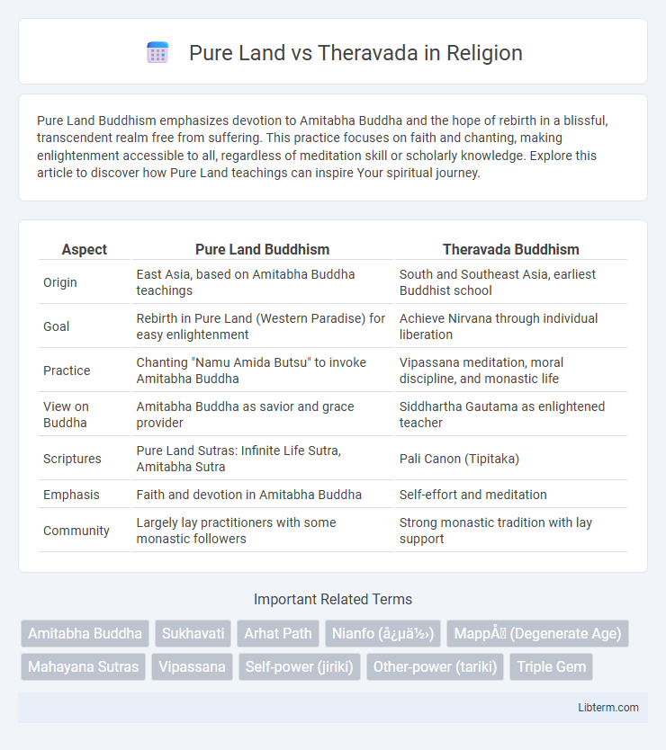 Theravada vs Pure Land in Religion - What is The Difference?