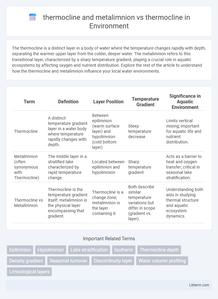thermocline vs thermocline and metalimnion in Environment - What is The Difference?