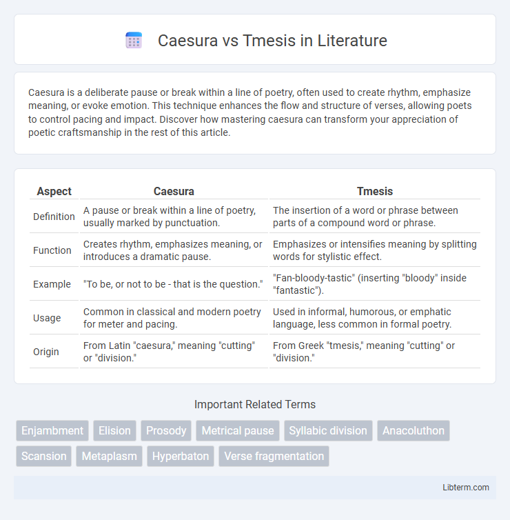 Tmesis vs Caesura in Literature - What is The Difference?