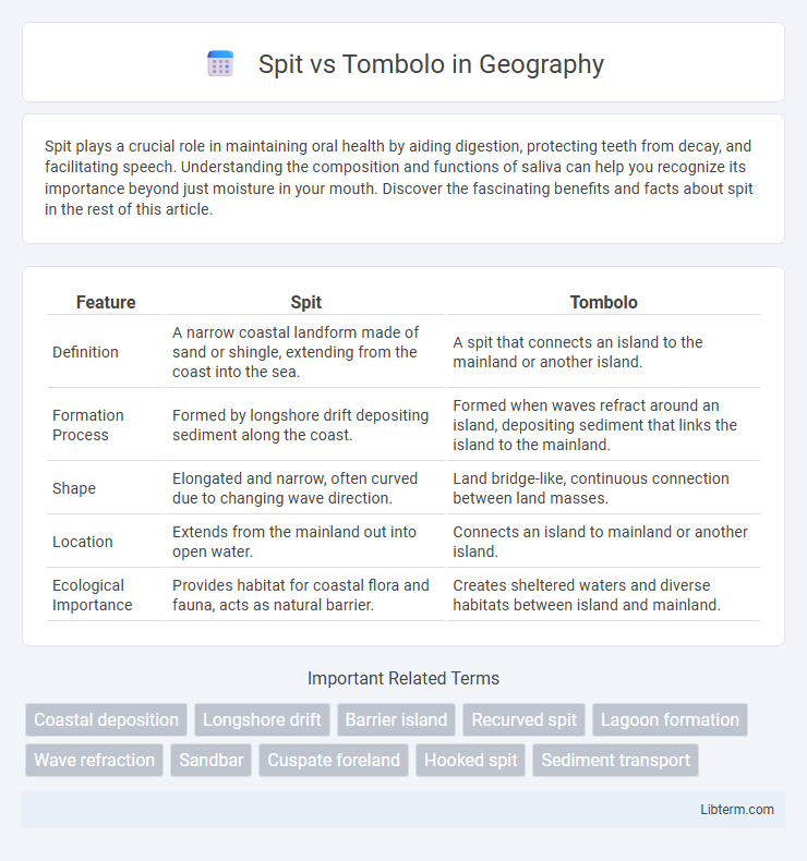 Tombolo vs Spit in Geography - What is The Difference?