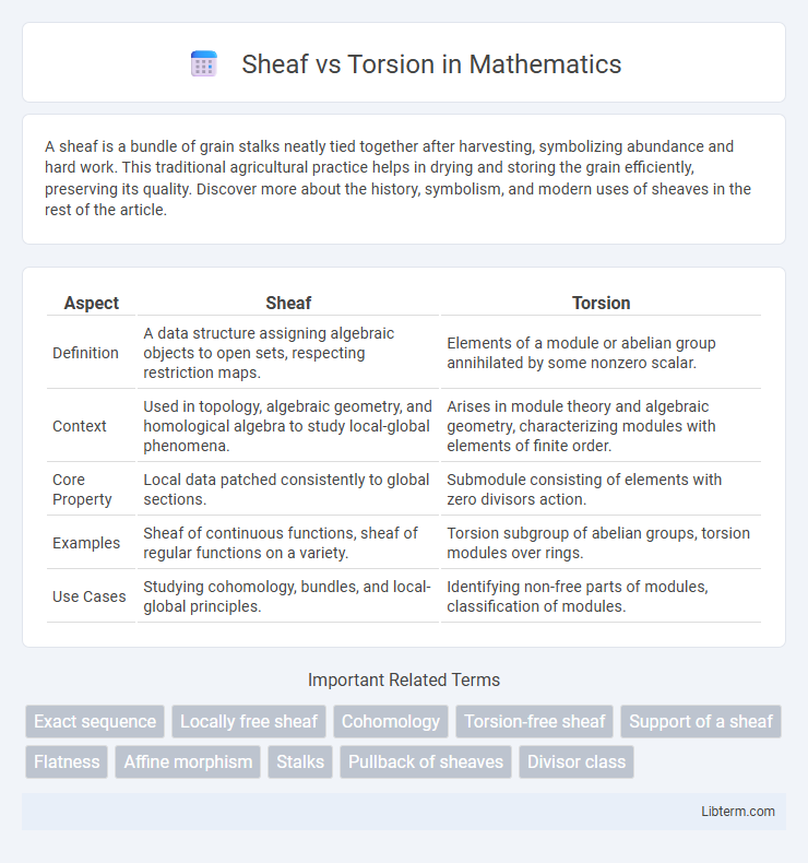 Torsion vs Sheaf in Mathematics - What is The Difference?