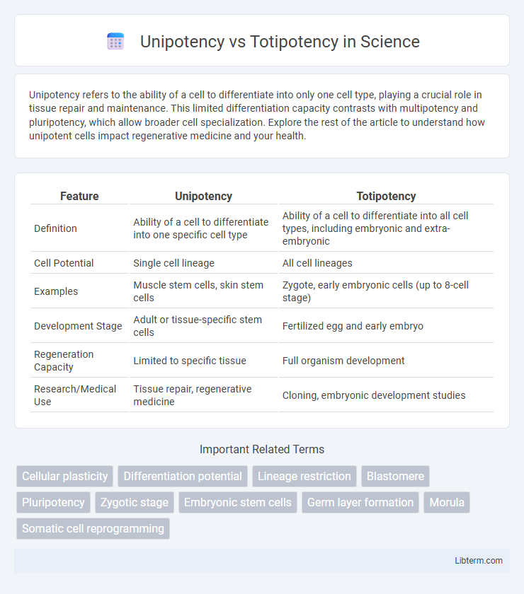 Totipotency vs Unipotency in Science - What is The Difference?