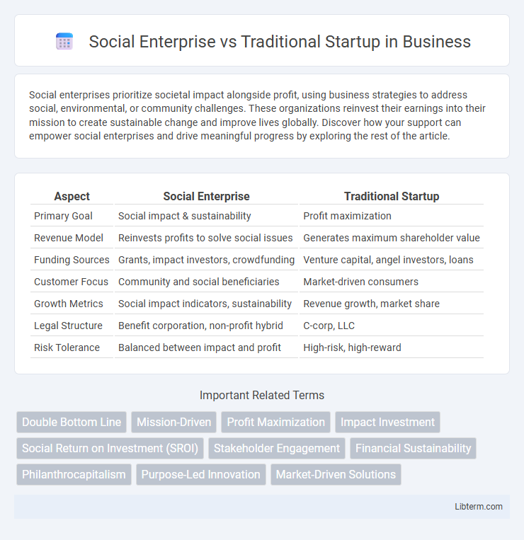 Traditional Startup vs Social Enterprise in Business - What is The Difference?