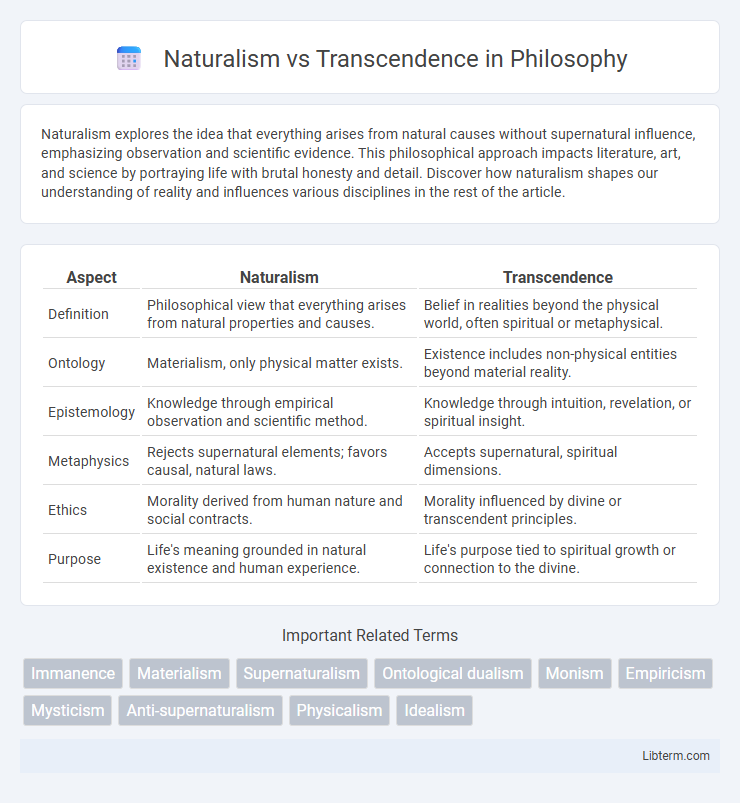 Transcendence vs Naturalism in Philosophy - What is The Difference?