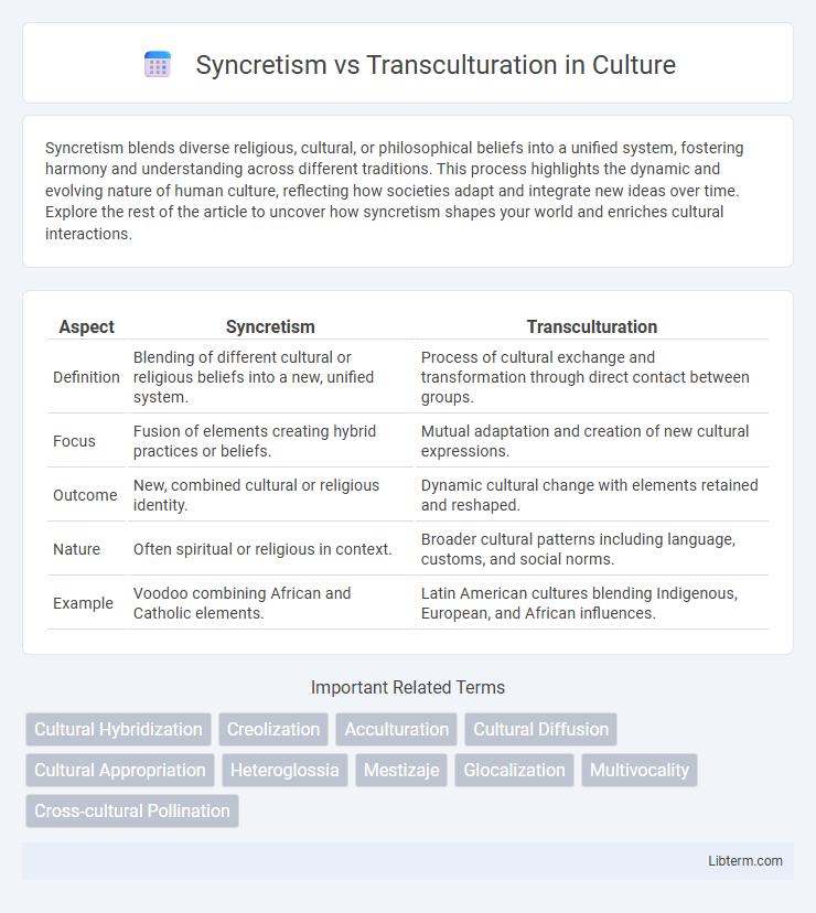 Transculturation vs Syncretism in Culture - What is The Difference?