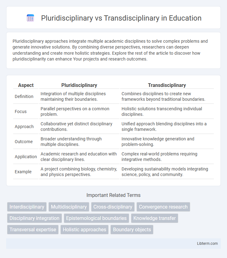 Transdisciplinary vs Pluridisciplinary in Education - What is The Difference?