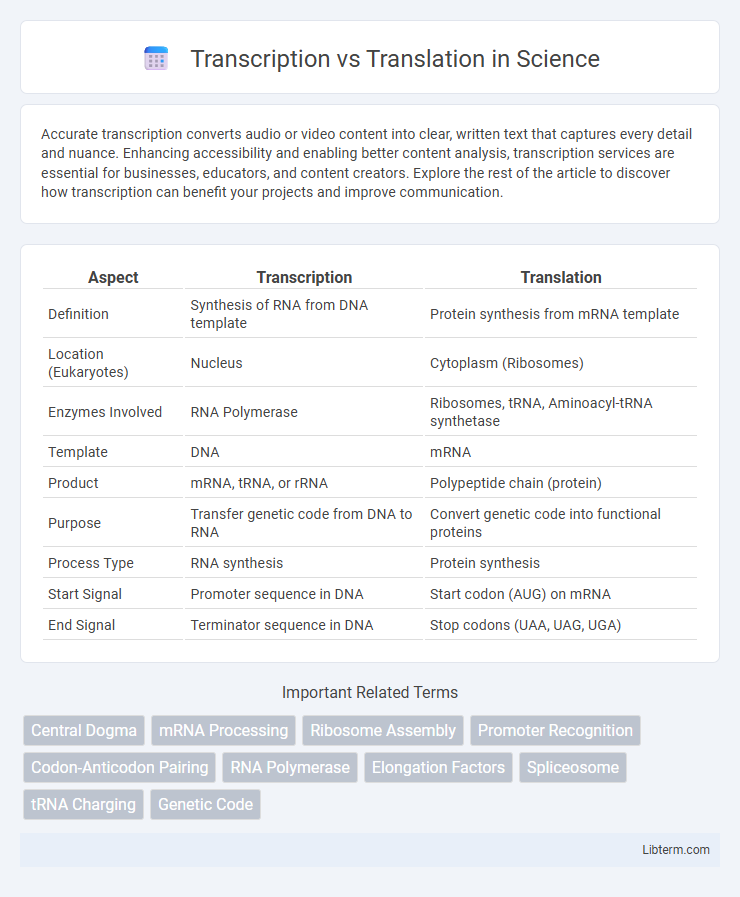 Translation vs Transcription in Science - What is The Difference?