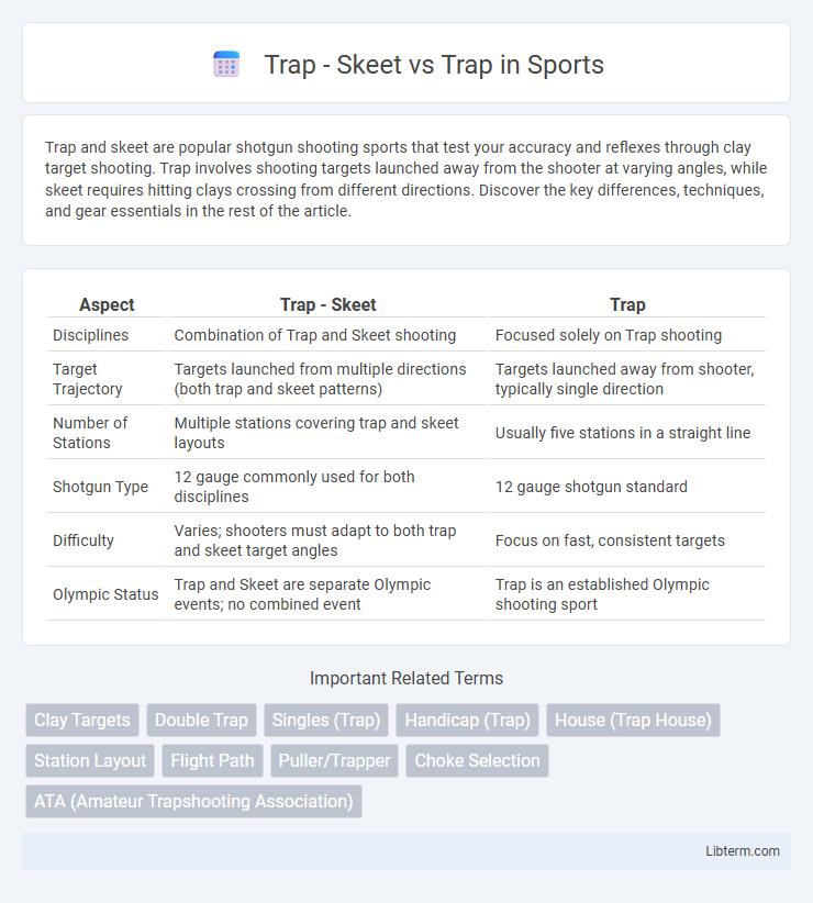 Trap vs Trap - Skeet in Sports - What is The Difference?