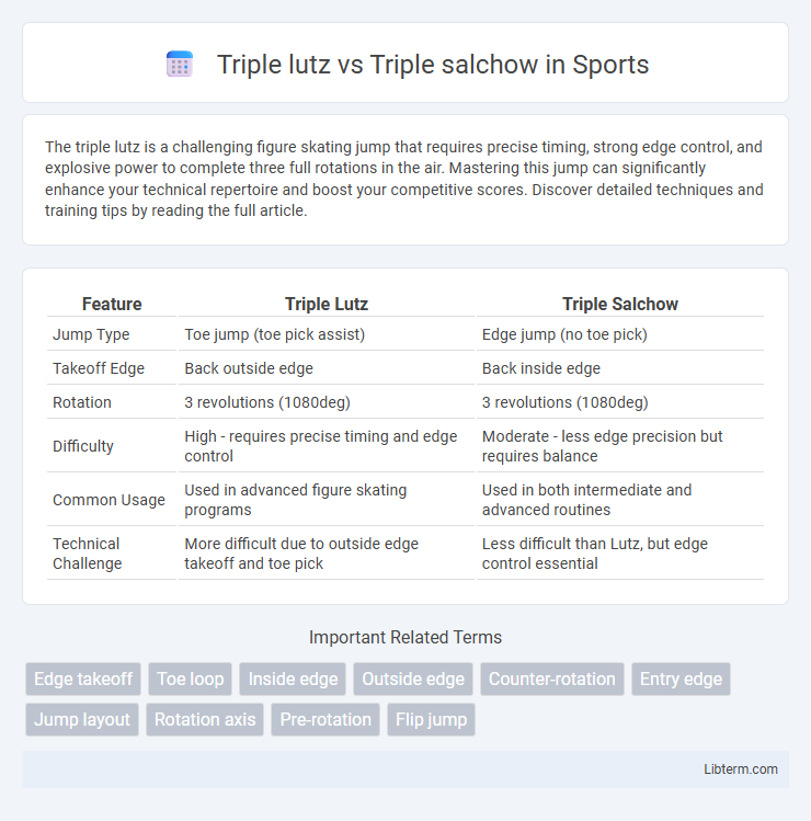 Triple salchow vs Triple lutz in Sports - What is The Difference?