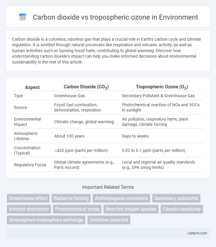 tropospheric ozone vs Carbon dioxide in Environment - What is The Difference?
