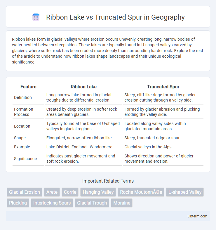 Truncated Spur vs Ribbon Lake in Geography - What is The Difference?