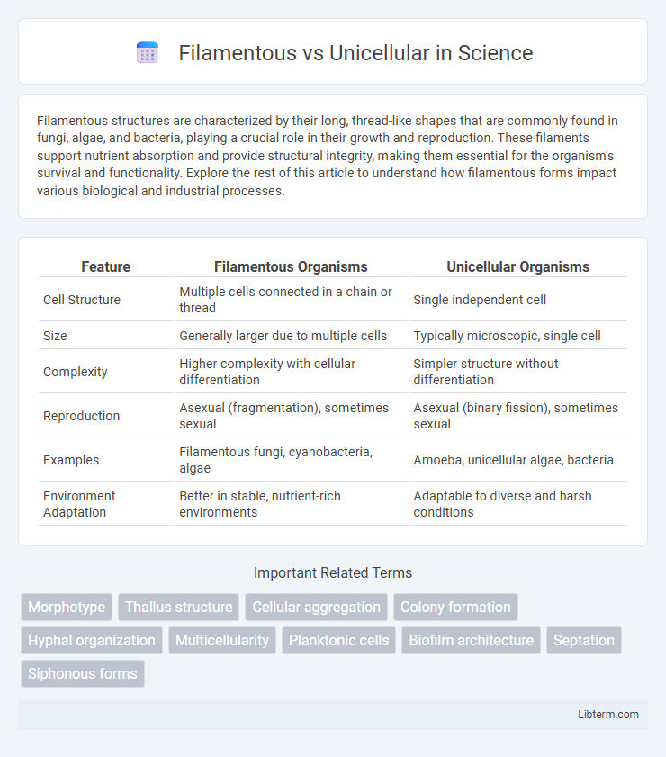 Unicellular vs Filamentous in Science - What is The Difference?