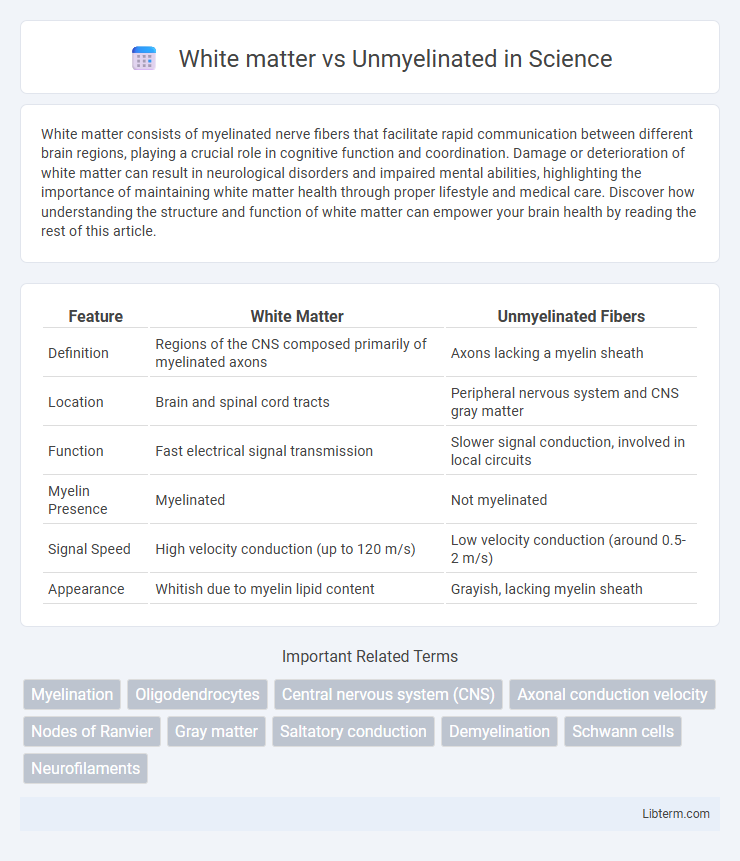 Unmyelinated vs White matter in Science - What is The Difference?