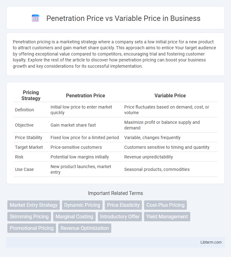 Variable Price vs Penetration Price in Business - What is The Difference?