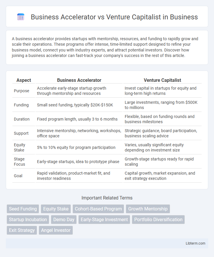 Venture Capitalist vs Business Accelerator in Business - What is The Difference?
