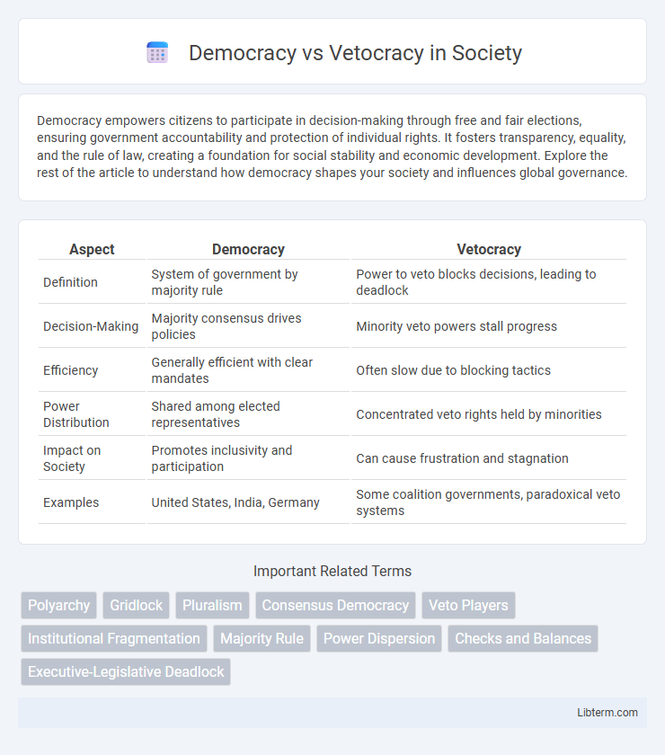 Vetocracy vs Democracy in Society - What is The Difference?