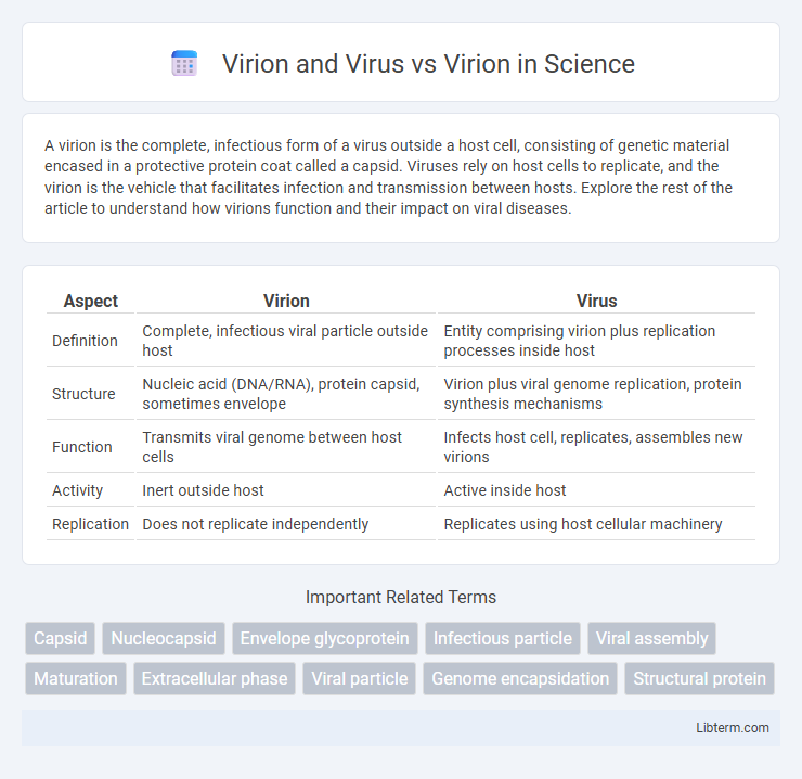 Virion vs Virion and Virus in Science - What is The Difference?
