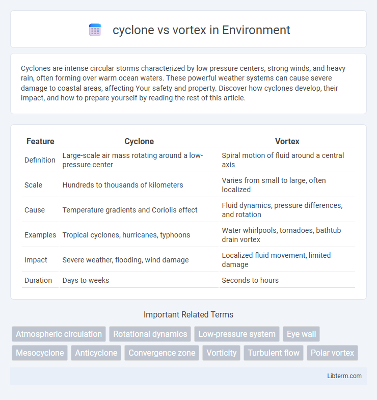 vortex vs cyclone in Environment - What is The Difference?