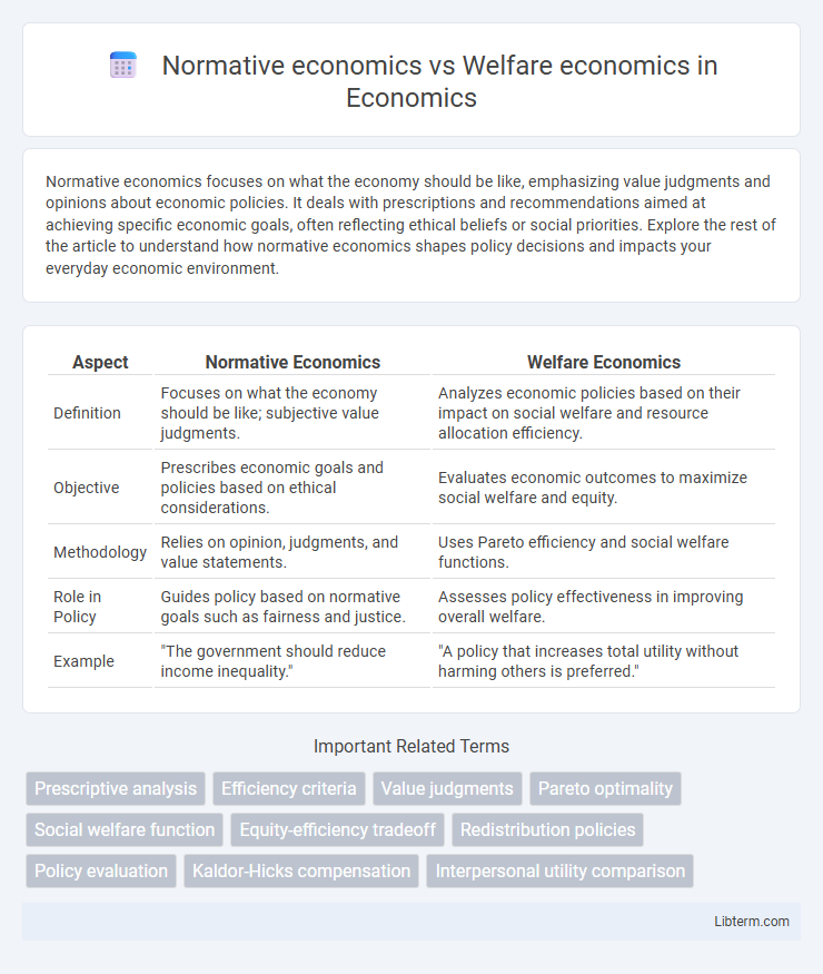 Welfare economics vs Normative economics in Economics - What is The Difference?