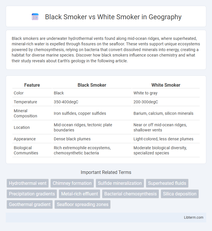 White Smoker vs Black Smoker in Geography - What is The Difference?