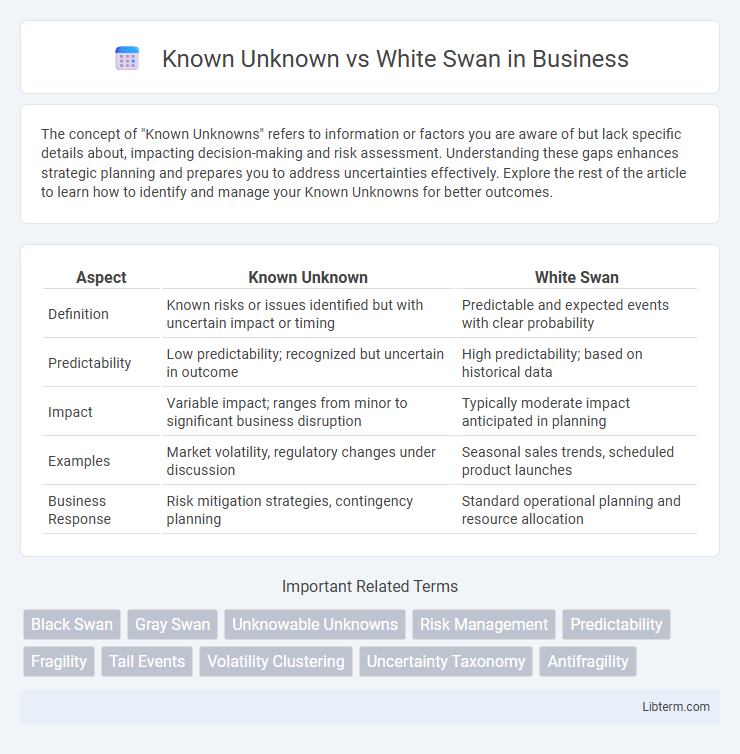 White Swan vs Known Unknown in Business - What is The Difference?