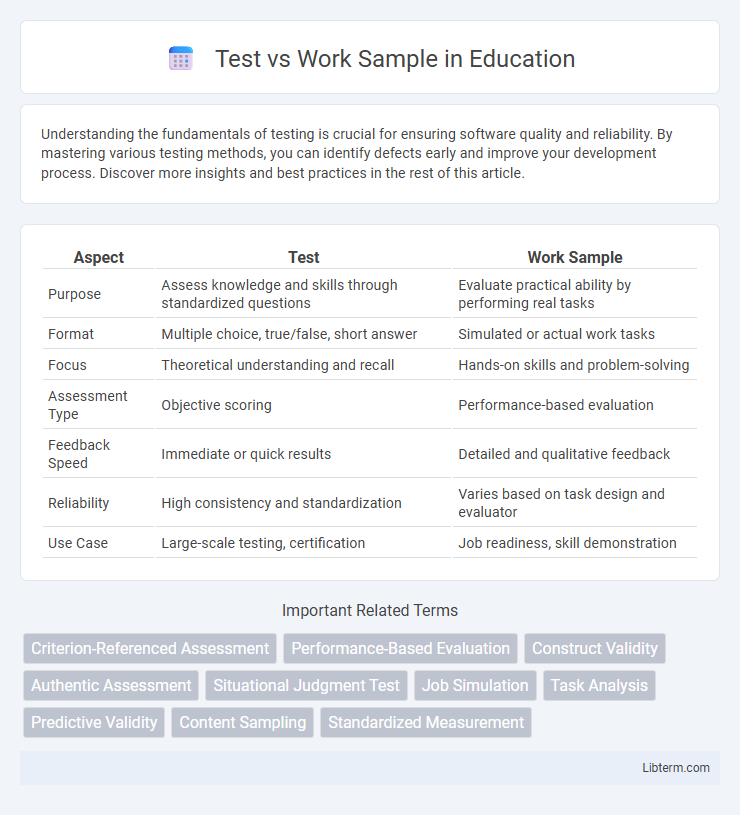 Work Sample vs Test in Education - What is The Difference?