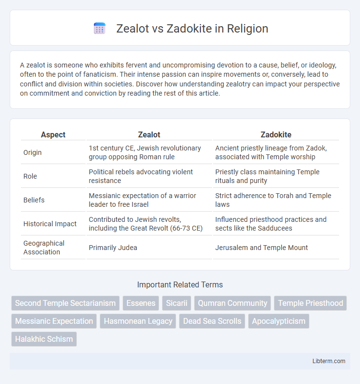 Zadokite vs Zealot in Religion - What is The Difference?