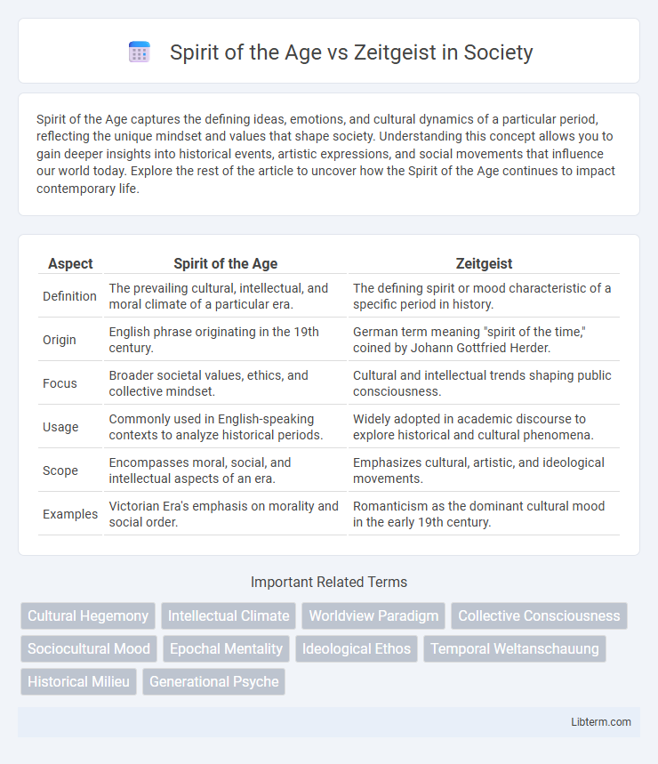 Zeitgeist vs Spirit of the Age in Society - What is The Difference?