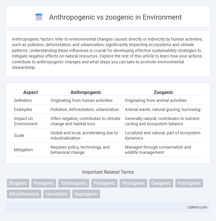 zoogenic vs Anthropogenic in Environment - What is The Difference?