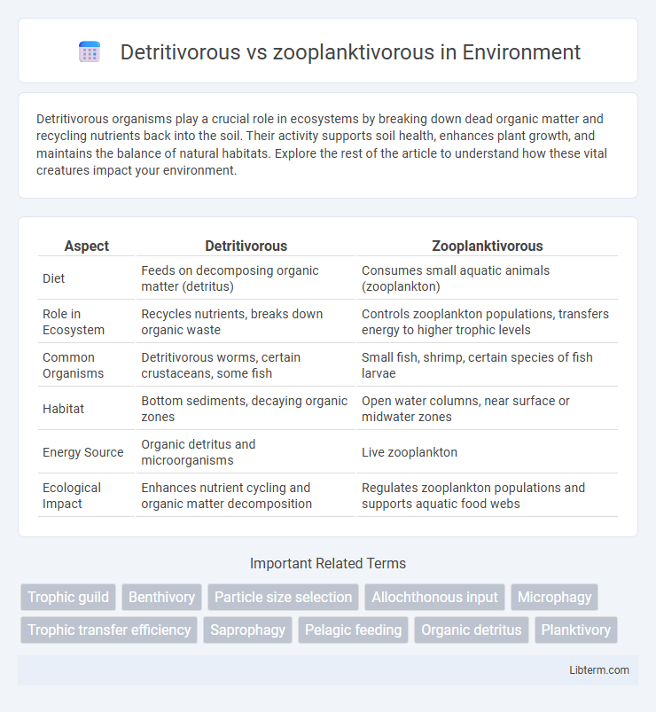 zooplanktivorous vs Detritivorous in Environment - What is The Difference?