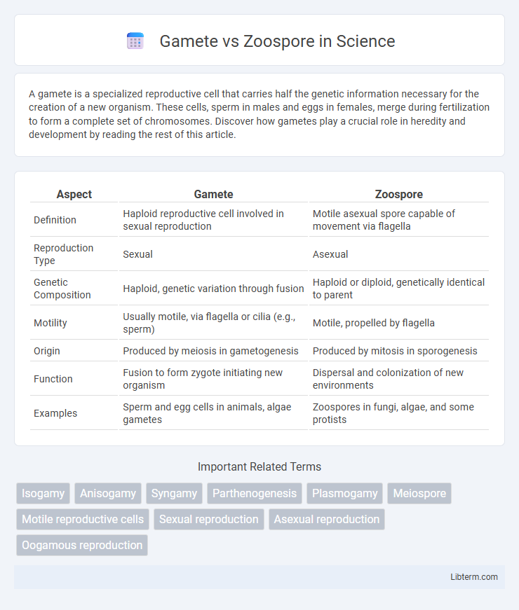 Zoospore vs Gamete in Science - What is The Difference?