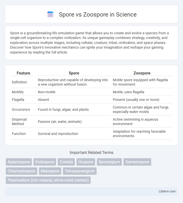 Zoospore vs Spore in Science - What is The Difference?