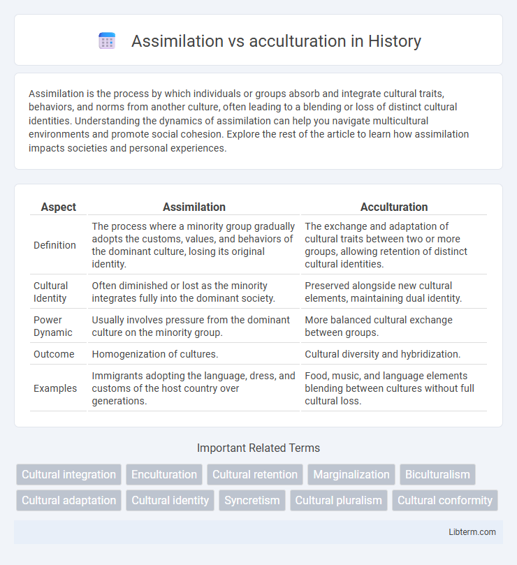 acculturation vs Assimilation in History - What is The Difference?