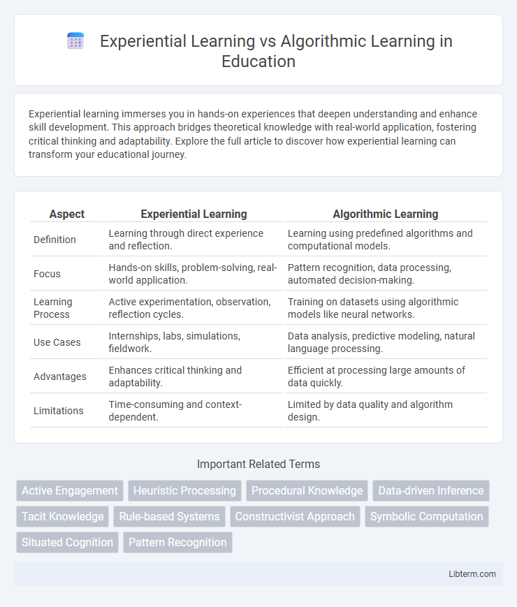 Algorithmic Learning vs Experiential Learning in Education - What is The Difference?